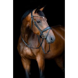 HORSEGUARD CRYLL 26.1 Trense med kombineret n�seb�nd og tilbagetr�k.