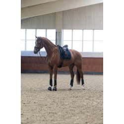 KINGSLAND LUCCA Cooling klokker. Navy