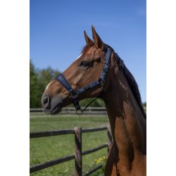 KINGSLAND LUCCA Cooling grime med tilh�rende tr�ktov. Navy