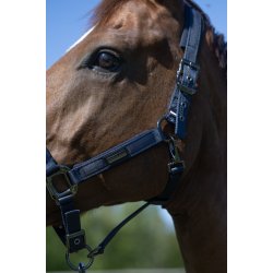 KINGSLAND LUCCA Cooling grime med tilh�rende tr�ktov. Navy