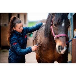 WAHL LISTER ECLIPSE Hesteklipper