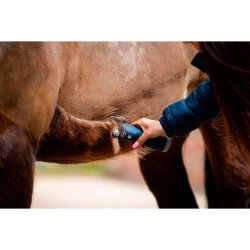 WAHL LISTER ECLIPSE Hesteklipper