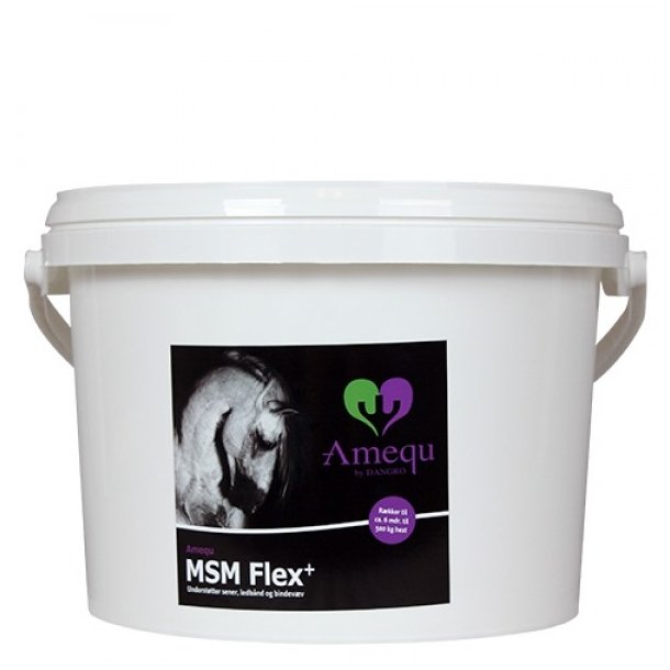 Amequ MSM Flex+. 5 kg