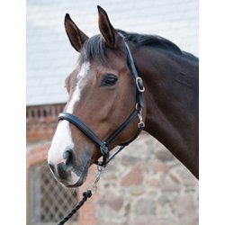 HORSEGUARD Soft ldergrime