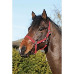 HORSEGUARD Nylon grime