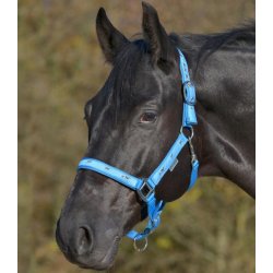 WALDHAUSEN LITTLE HORSE Grime