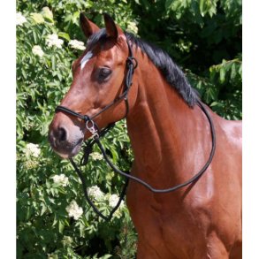 WALDHAUSEN Rebgrime med tjler