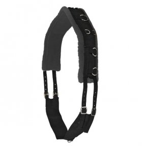 WALDHAUSEN Longeringsgjord