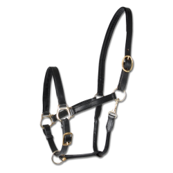 WALDHAUSEN Ldergrime