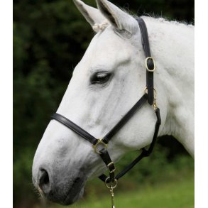 WALDHAUSEN Ldergrime