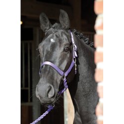 HORSEGUARD Lea Grime