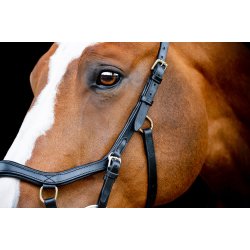 HORSEWARE MICKLEM Competition II Trense