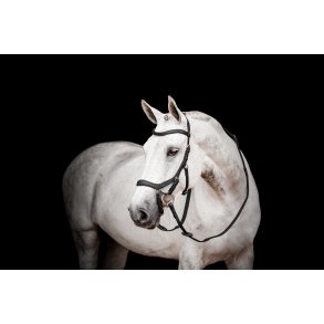 HORSEWARE MICKLEM Competition II Trense