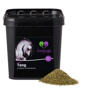 Amequ Tang. 3kg