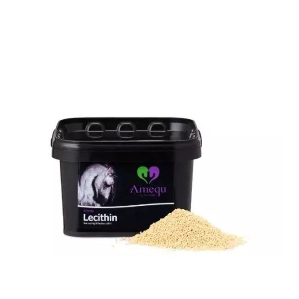 AMEQU Lecithin. 1,5 kg
